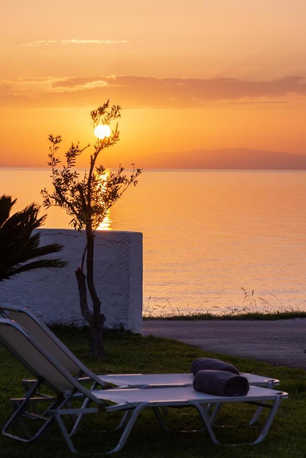 Vrachos Holiday Home アリカナス エクステリア 写真